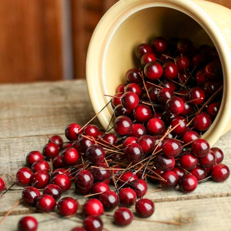 Factory Direct Craft - Wholesale Artificial Plant - Realistic Artificial Berry Picks (Bag of 200 Berries)0