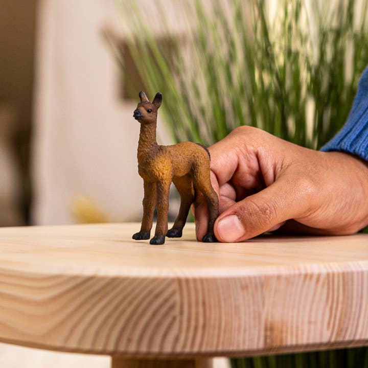 Schleich - Wholesale Figurine Toy - Kids - Llama Foal1
