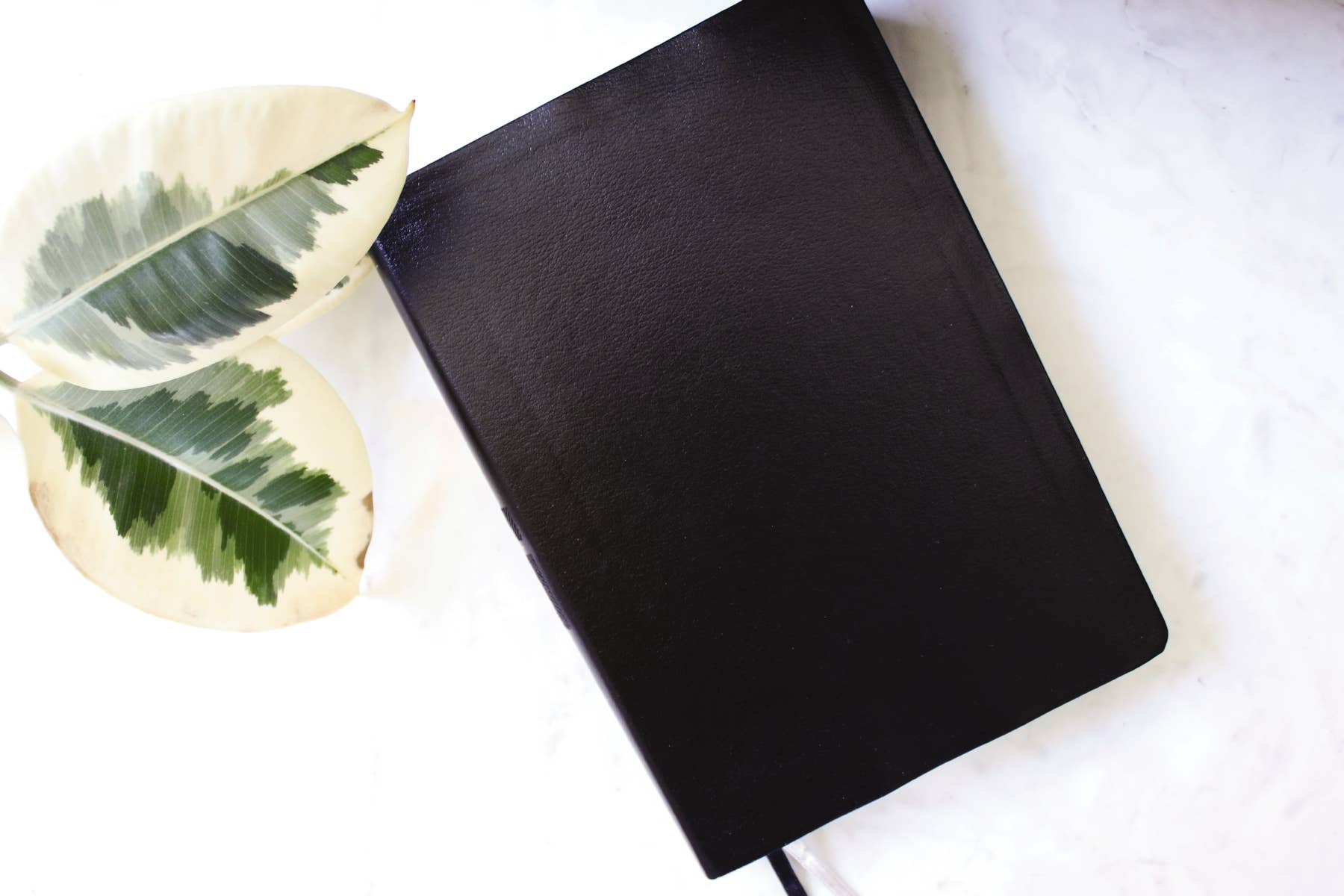 HarperCollins Christian Publishing - Wholesale Reference - NIV Quest Study Bible, Large Print, Bonded Leather, Black1