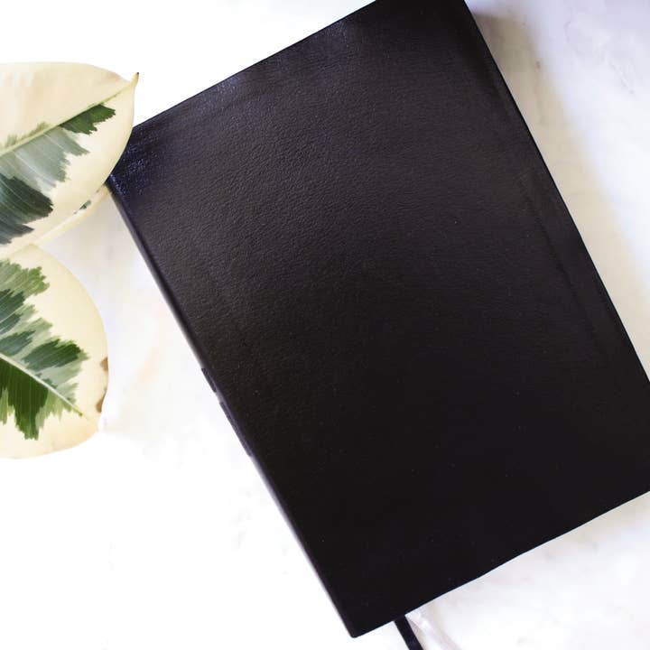 HarperCollins Christian Publishing - Wholesale Reference - NIV Quest Study Bible, Large Print, Bonded Leather, Black1