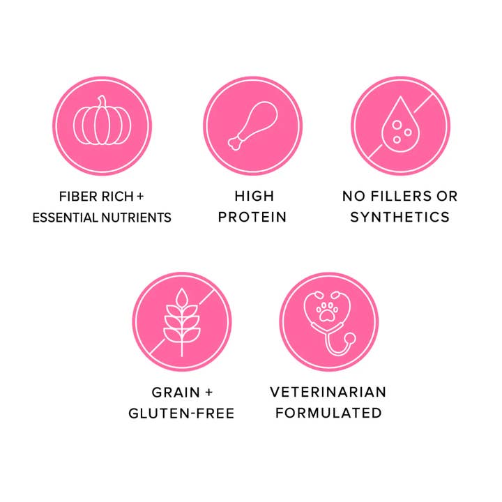 Jojo Modern Pets - Wholesale Pet Treats - Dog - Ava's Pet Palace Freeze Dried Dog Treats - Turkey Poppers