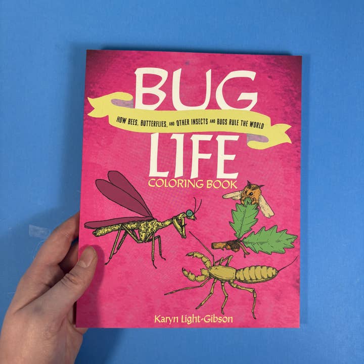 Bug Life Coloring Book: Bees, Butterflies, and Insects for wholesale by Microcosm Publishing & Distribution