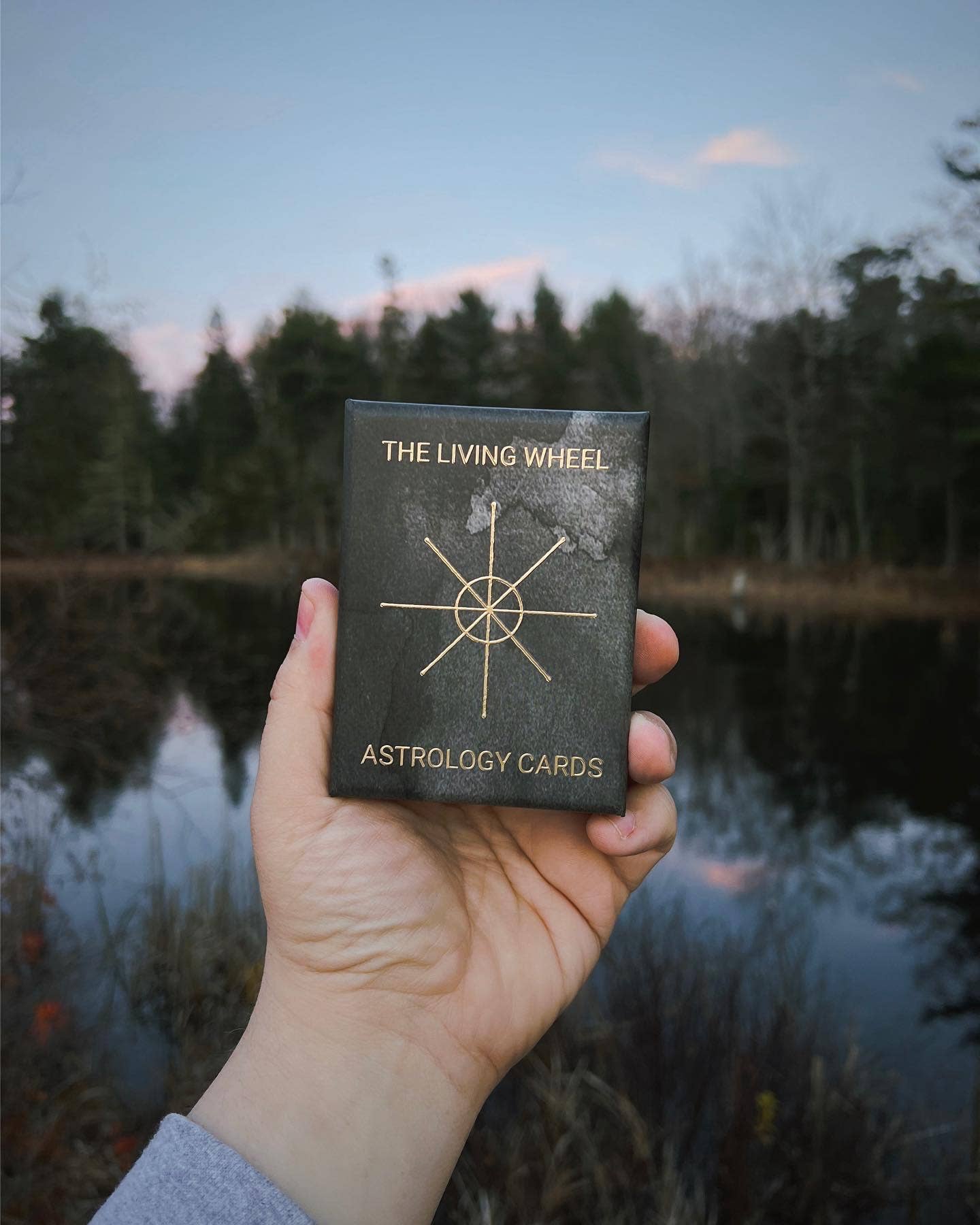 The Living Wheel - Wholesale Tarot Cards - The Living Wheel Astrology Cards7