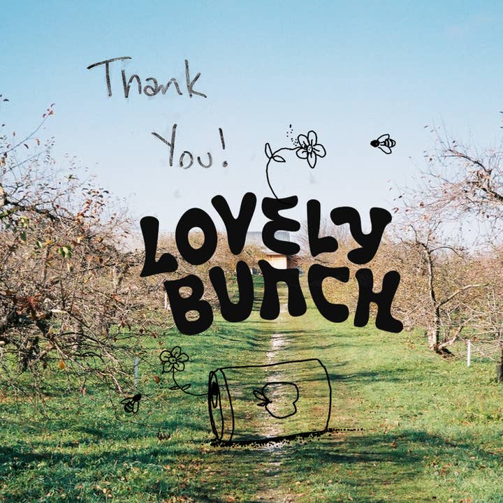 Lovely Bunch - Wholesale Fruit Juice - 750ML Sparkling Apple Juice