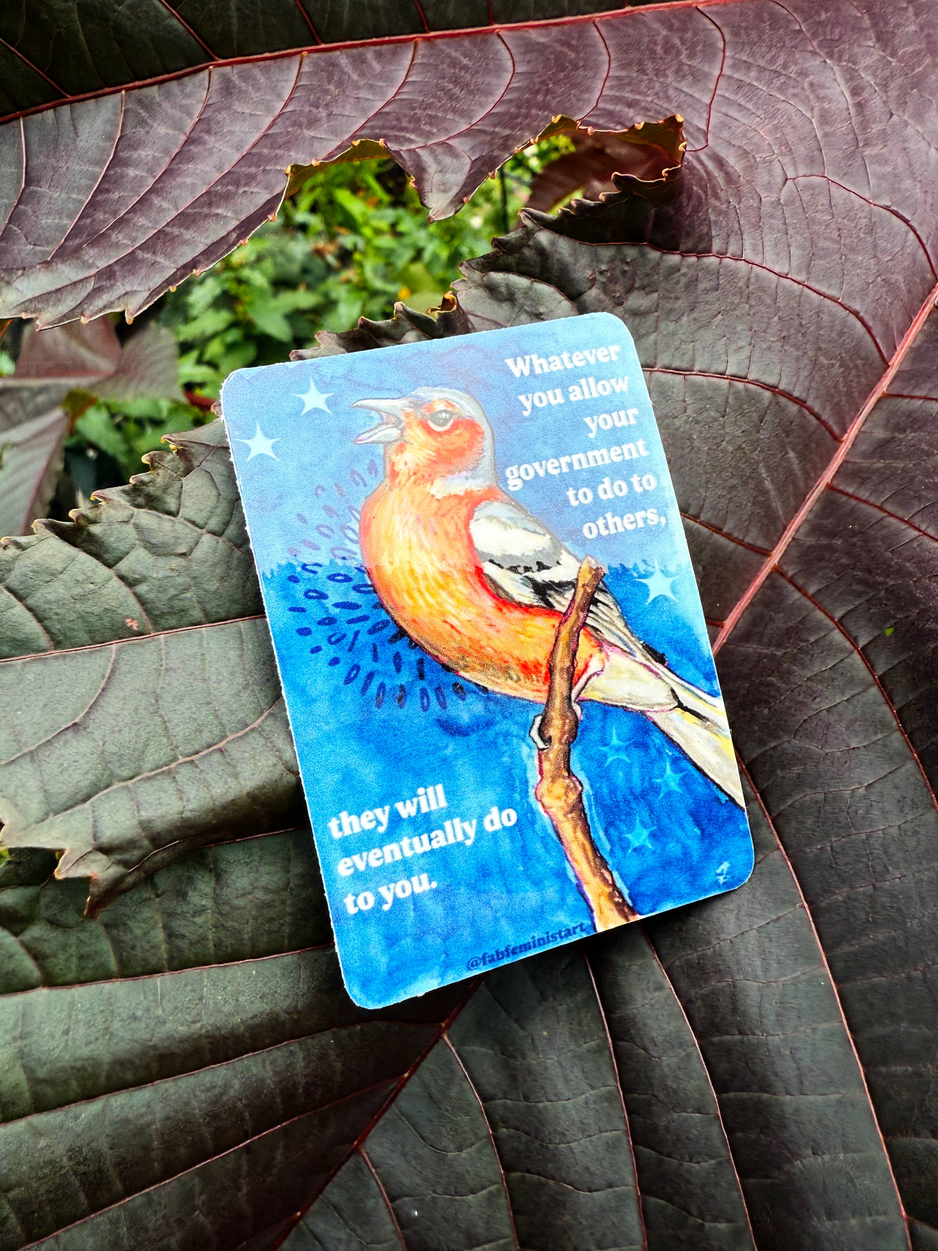 Fabulously Feminist - Wholesale Sticker - Whatever you allow your government to do to others: sticker7