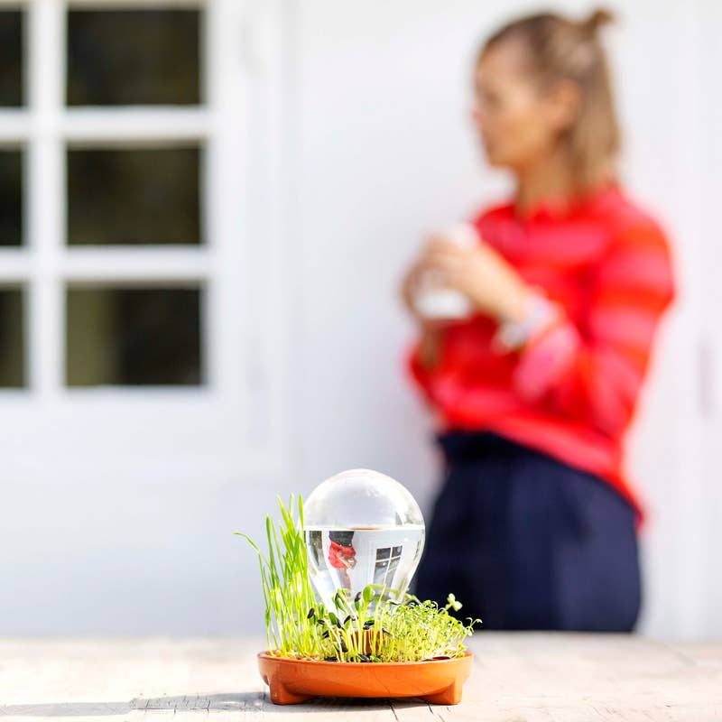 House Of Thol - Wholesale Kitchen Tool/Gadget - PATELLA CRESCENDA - Microgreen sprouting kit 7