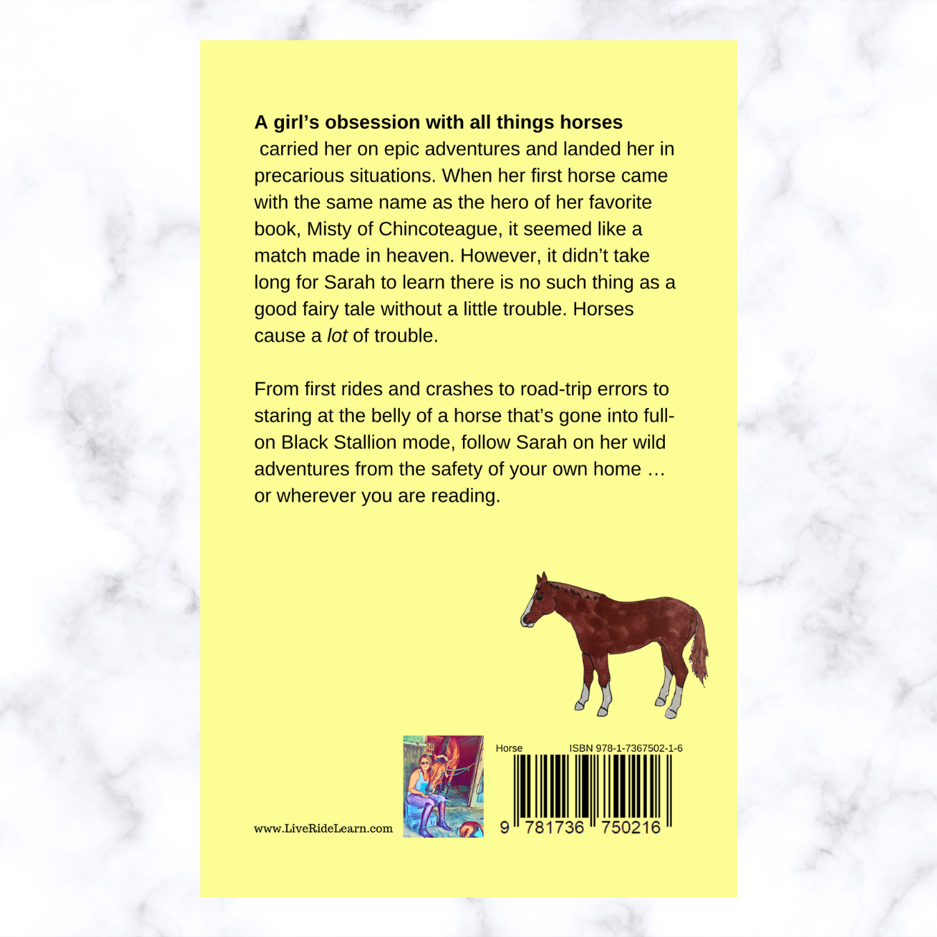 Sarah Hickner, author - Wholesale Middle Grade Book (9-12) - Stories from the Barn Aisle1