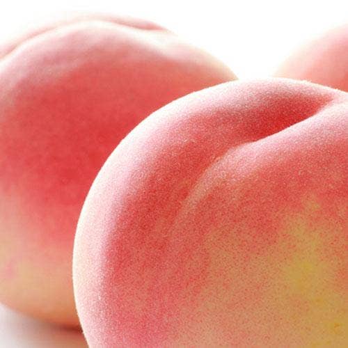 Peach Iced Green Tea Bags for wholesale by Den's Tea