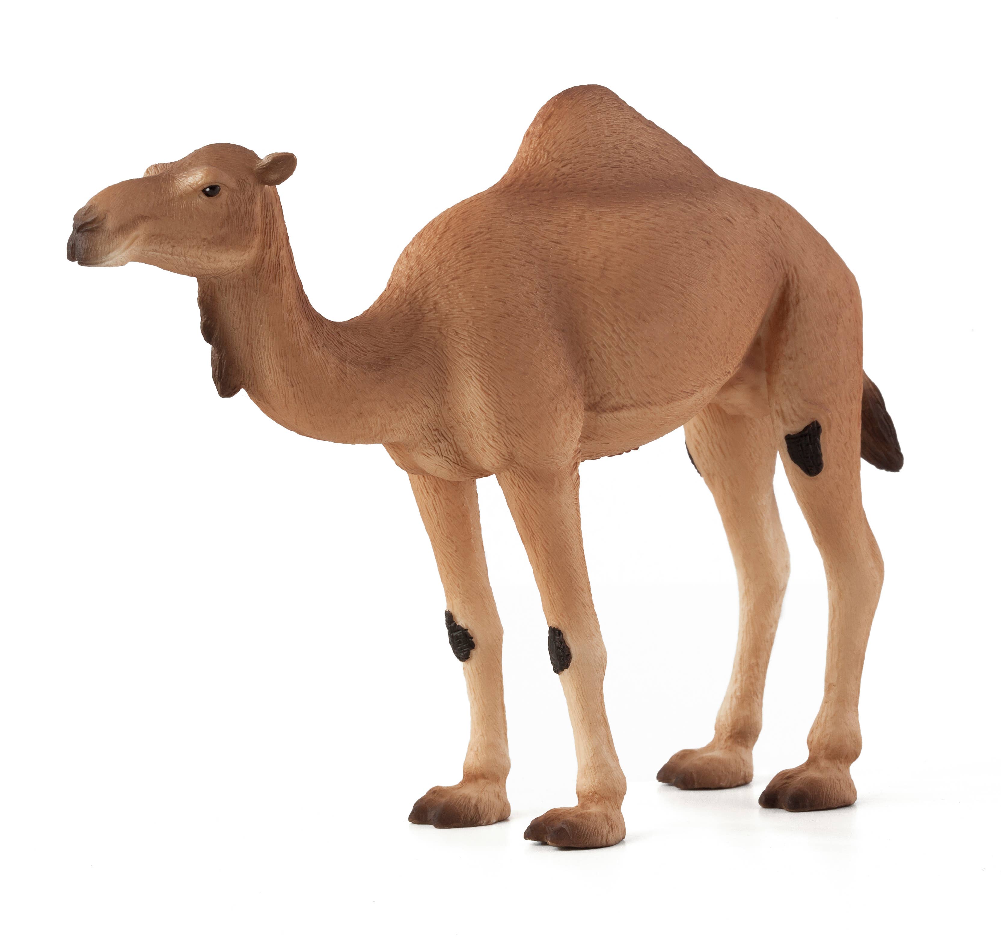 Mojo - Wholesale Figurine Toy - Kids - Mojo Arabian Camel Animal Figurine0