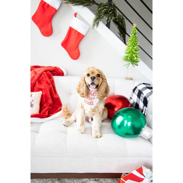 Pearhead - Wholesale Pet Bandana - Dog - I Ate Santa's Cookies Christmas Dog Bandana, S/M1