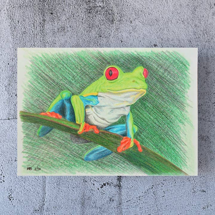 Hannah Kate Makes - Wholesale Art Print - Red Eyed Tree Frog Art Print - Cedric Sammakko - A56