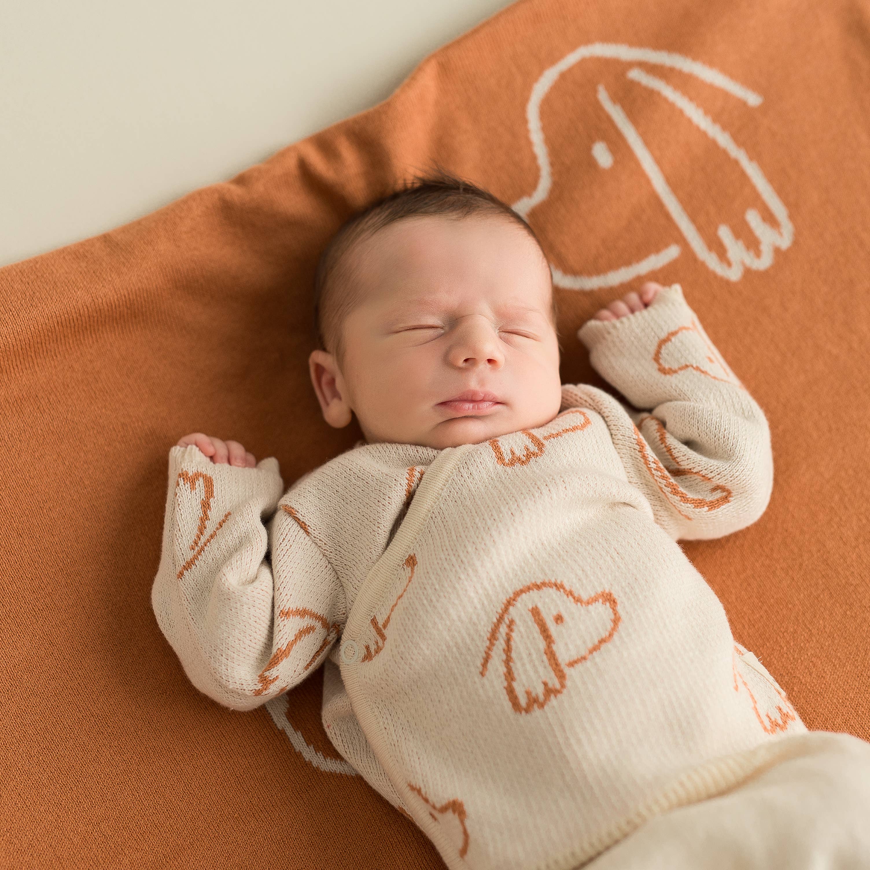 micu micu - Wholesale Clothing Set - Baby - Newborn Pack dogs ecru5