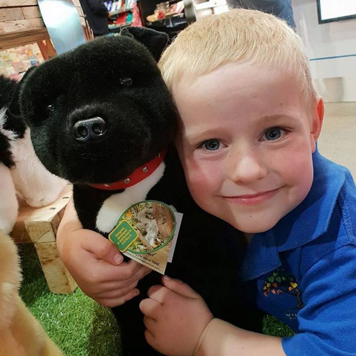 FurTastic Friends by Bocchetta Plush Toys - Venta al por mayor Peluche - Niños y bebés - DJ - Staffordshire Bull Terrier negro, tamaño 33 cm/13 pulgadas