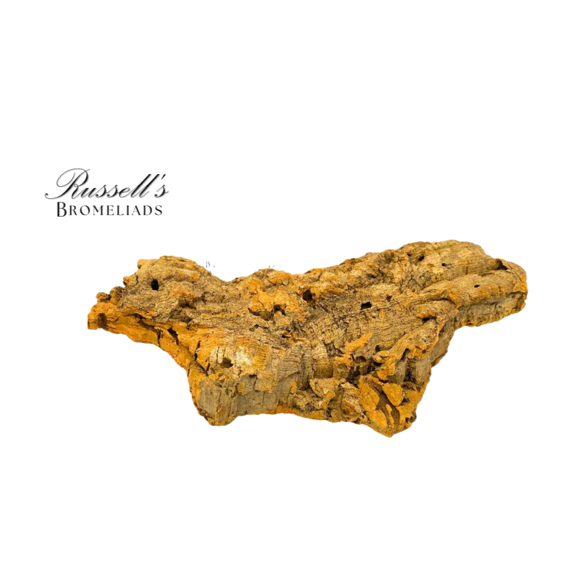 Russell's Bromeliads - Wholesale Live Plant - Cork0