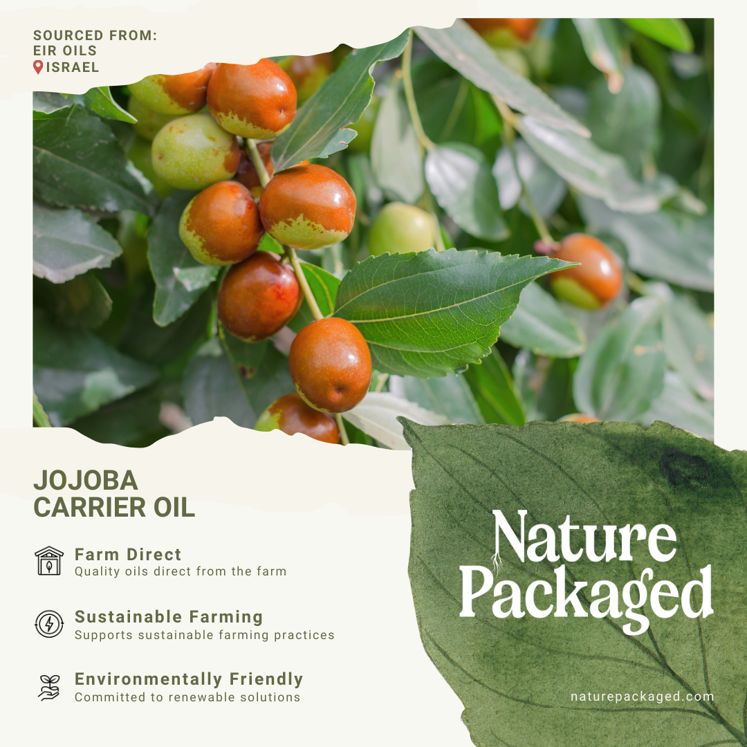 Nature Packaged - Wholesale Bath/Body Oil - Jojoba Carrier Oil - 100% Pure - Farm-Direct Sourcing8