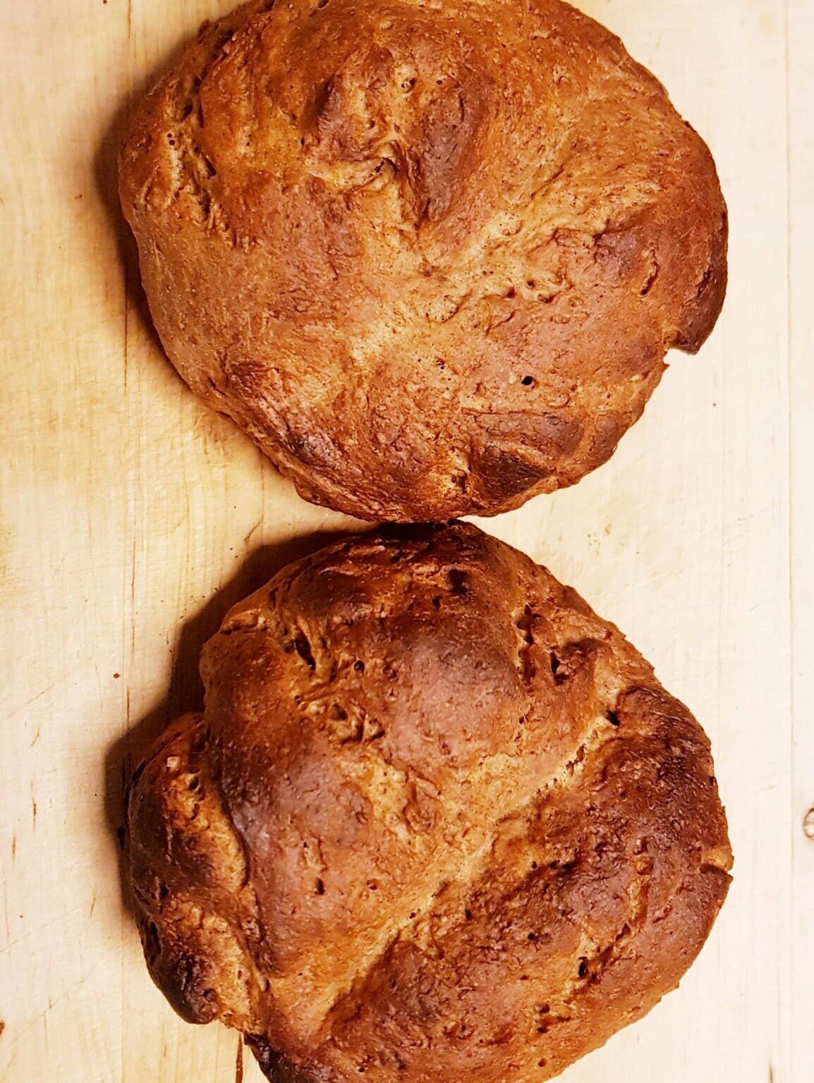 ŽELOD.SI, Irena Ekart s.p. - Wholesale Flour - Acorn Flour (Quercus ithaburensis)4