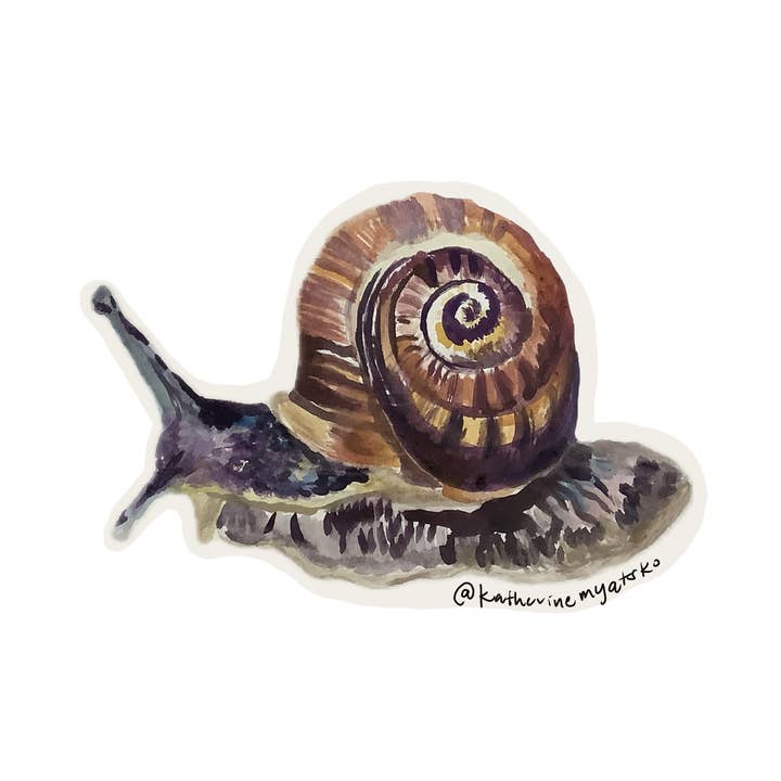 Phoebe for wholesale by Nature and Nurture