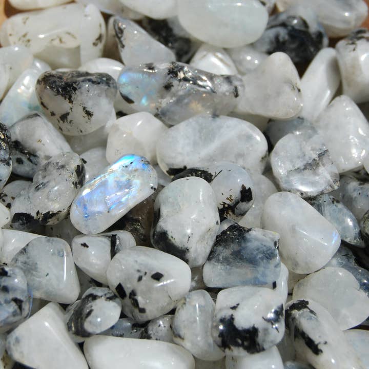 30-40pcs Rainbow Moonstone Crystal Tumbled Stones, XS for wholesale by Caspar Curiosities