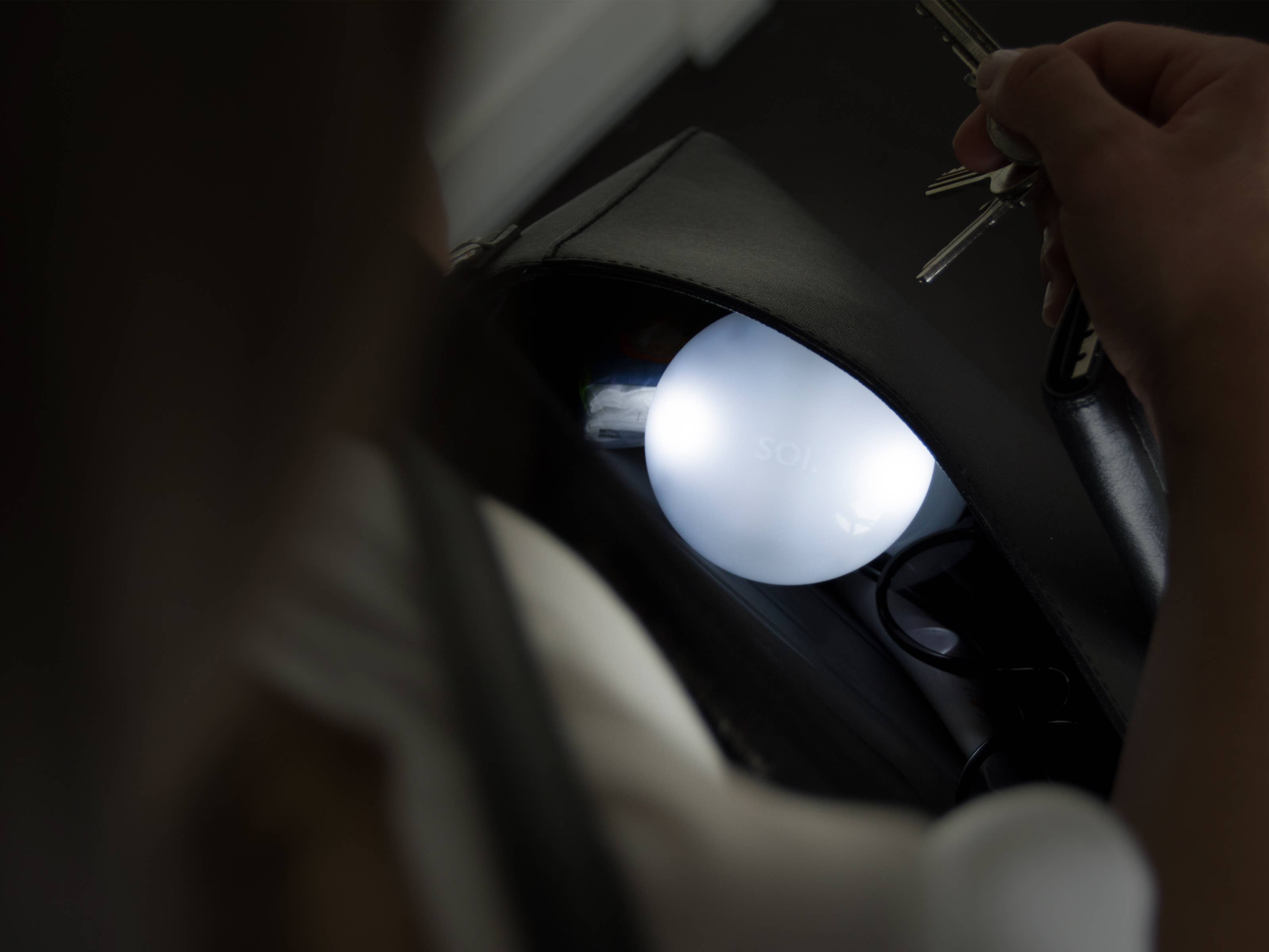 Brainstream USA - Wholesale Purse/Bag Accessory - Women's - SOI. purse light2