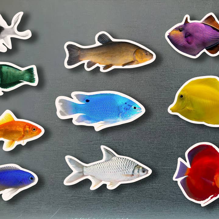 Colorful Fish - Bamboo Photo Magnets NWBM09 for wholesale by Nowordbooks