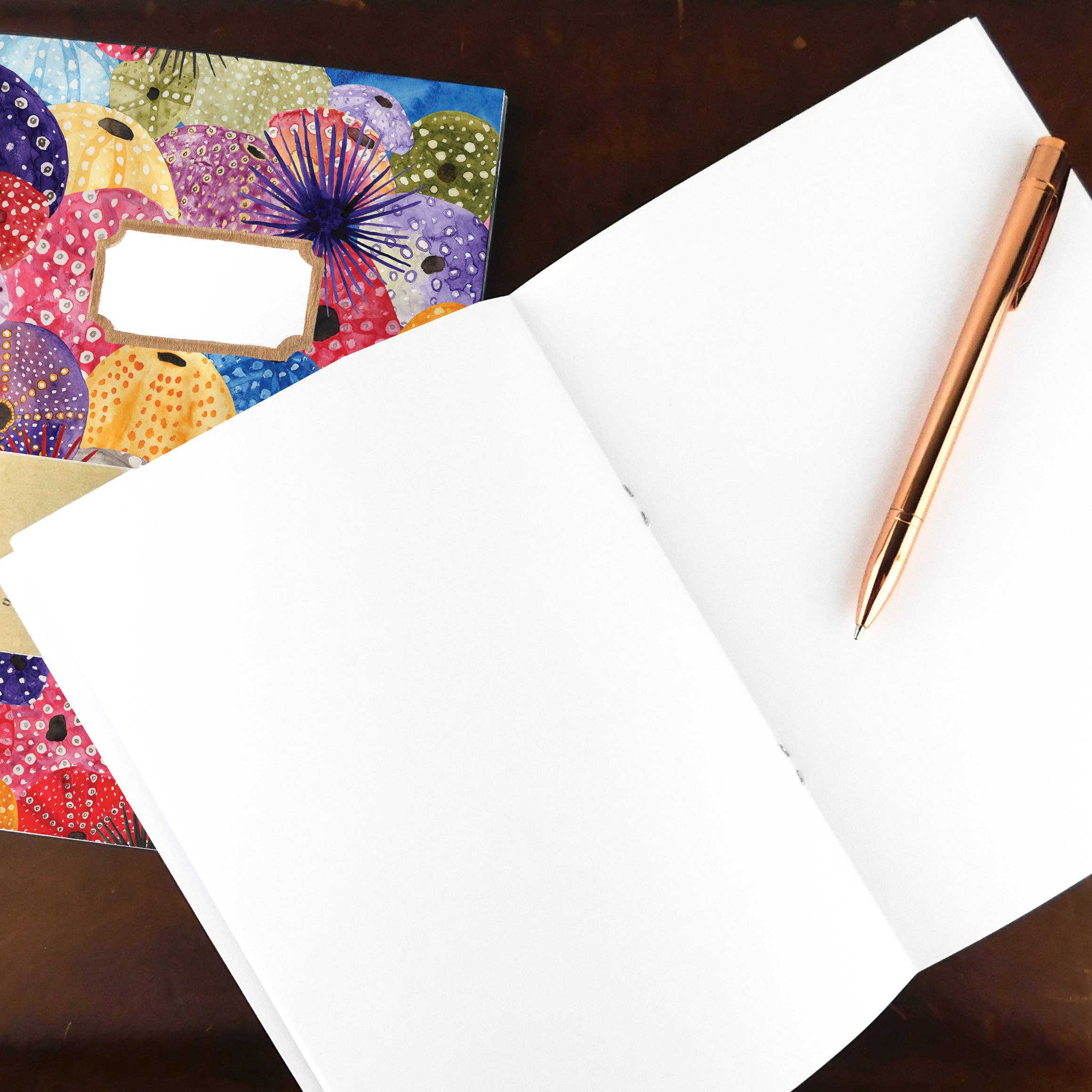 Bison Bindery – wholesale Notebook – Echinozoa Sea Urchin A5 Recycled Notebook - 36 Plain Pages1