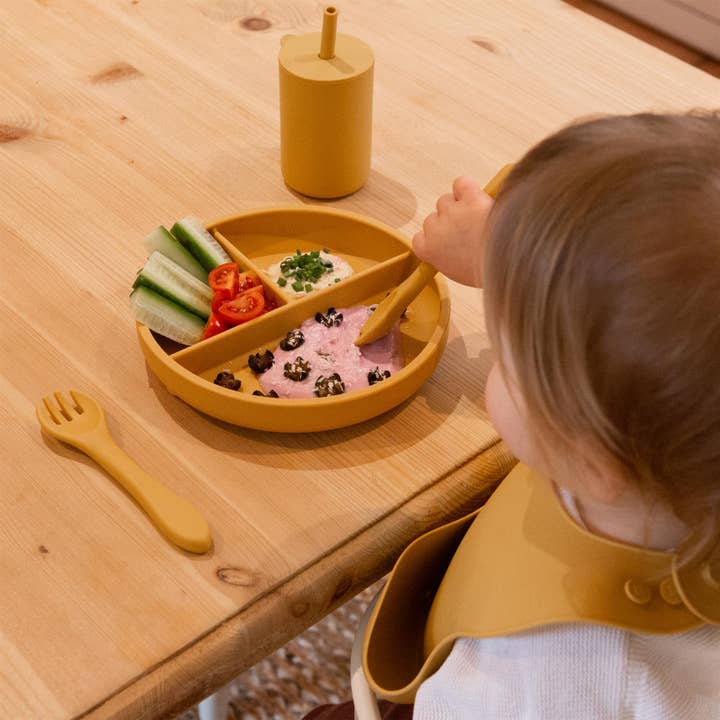 Rinkit Ltd - Wholesale Dinner Plate - Kids & Baby - Baby Divided Silicone Suction Plate - By Tiny Dining23