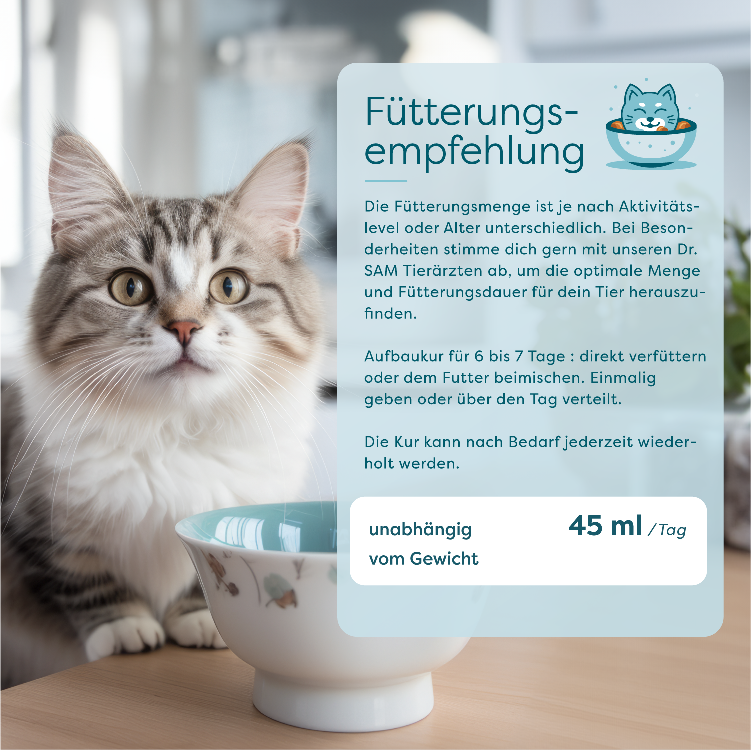 DrSAM – wholesale Pet supplement – Dog – Dr. SAM Tonic – Recovery Treatment (280ml) for Convalescence9