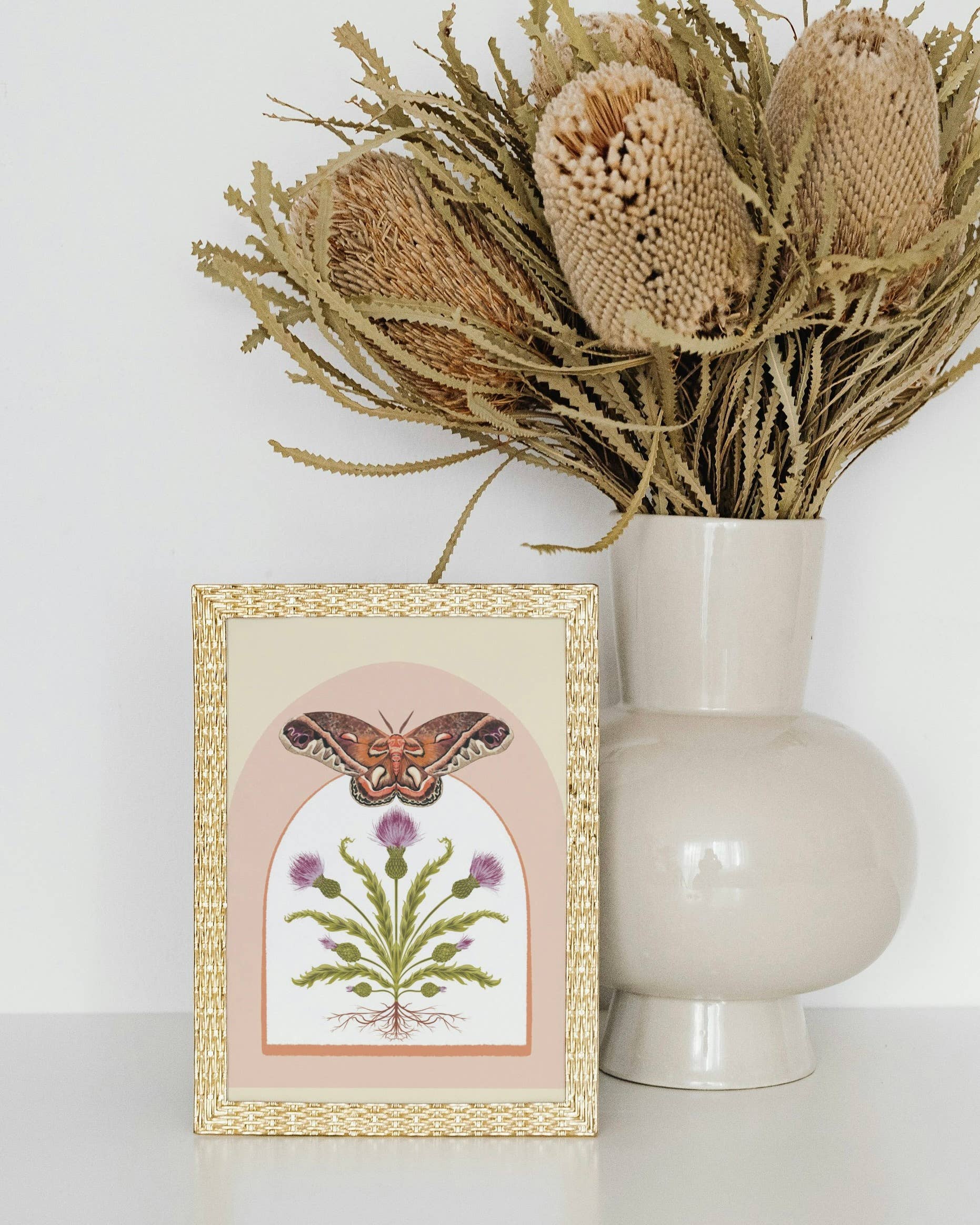 Folk Meadow - Wholesale Art Print - Cecropia Moth & Thistle Print - 8x102