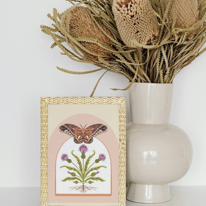 Folk Meadow - Wholesale Art Print - Cecropia Moth & Thistle Print - 8x102