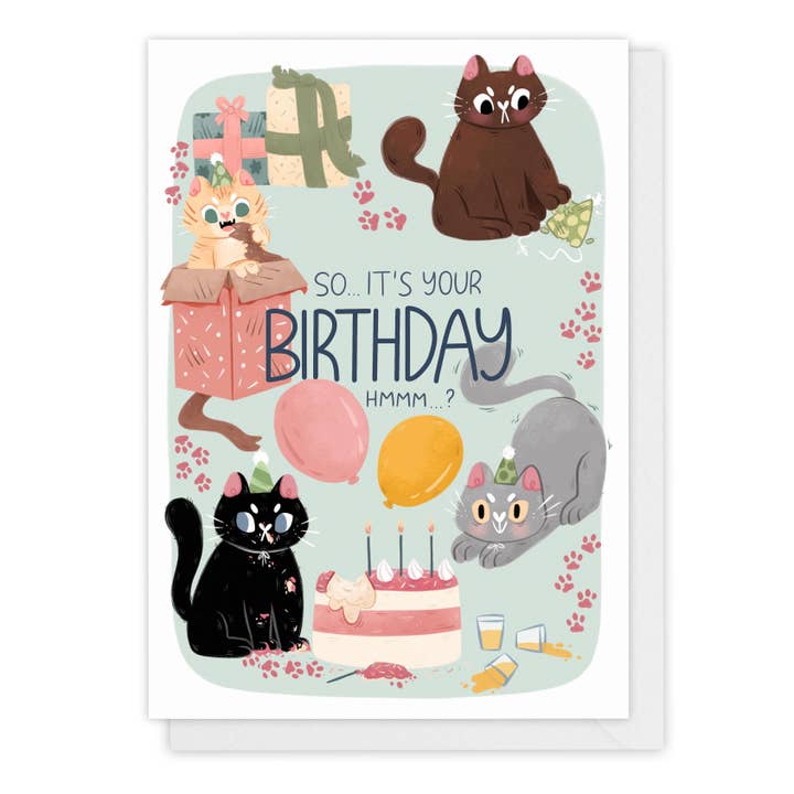 So it's your birthday hmm... - Cat Birthday card - cat lover for wholesale by My Sweet Paper Card