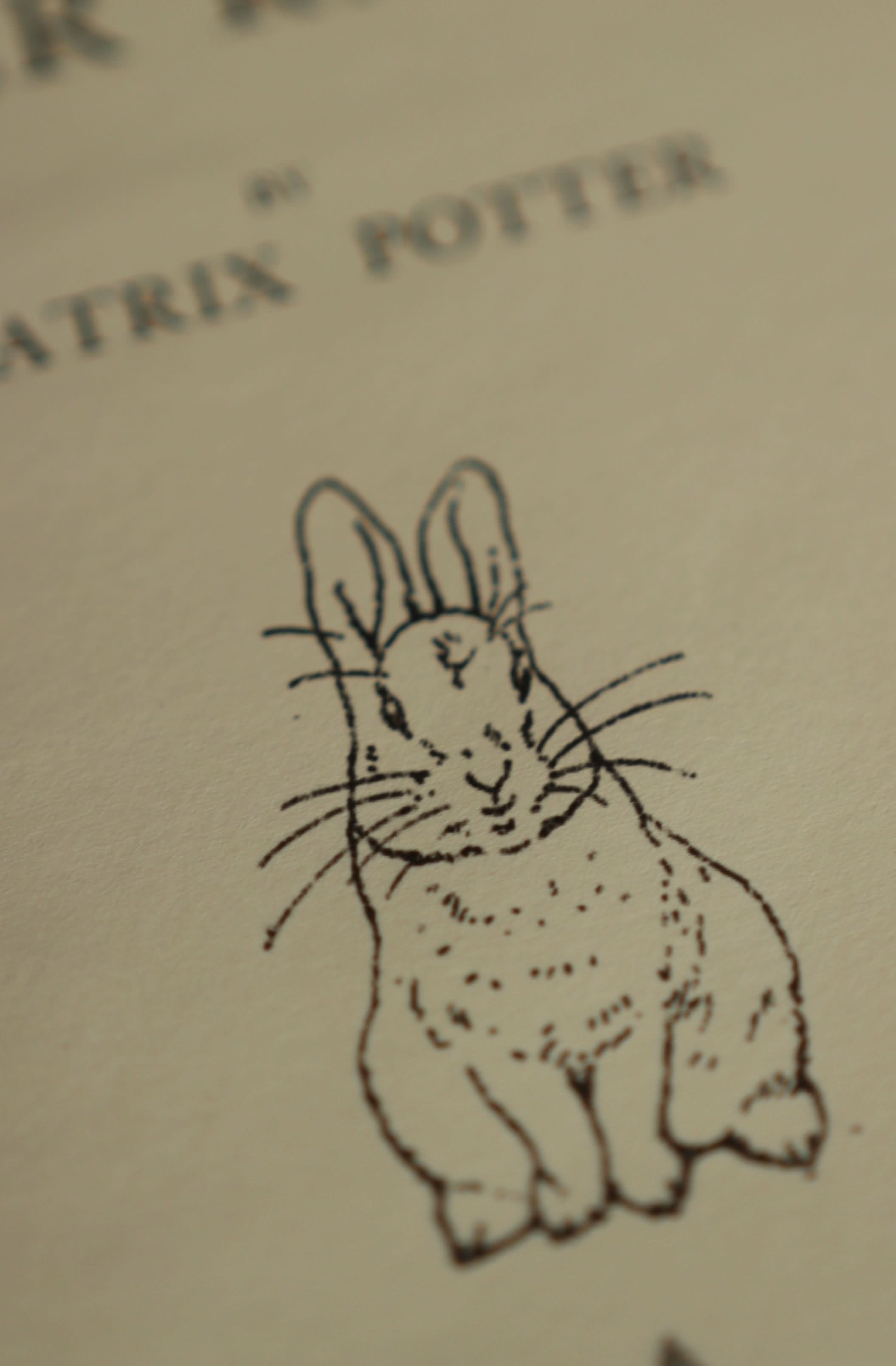 Novel Book Store - Vente Journal intime - Le Conte de Pierre Lapin de Beatrix Potter 1902 - Carnet de notes5