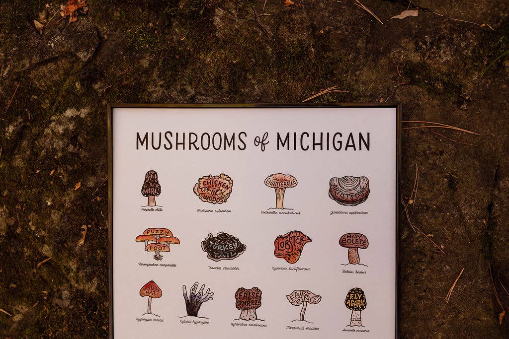 Home Squirrel - Wholesale Art Print - Mushrooms of Michigan Watercolor Print1