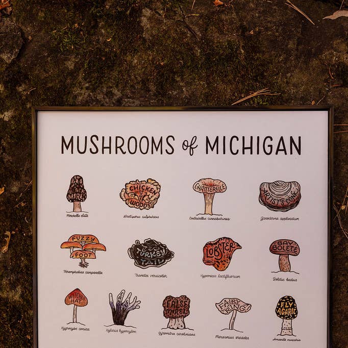 Home Squirrel - Wholesale Art Print - Mushrooms of Michigan Watercolor Print1