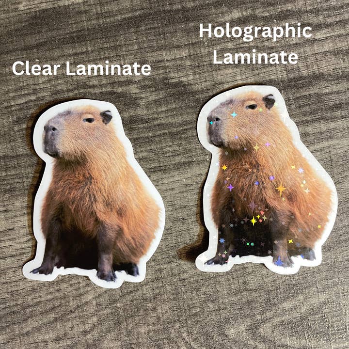 Philly Frogs - Wholesale Sticker - Sassy Capybara Sparkle Vinyl Sticker