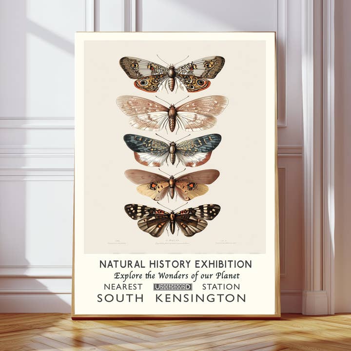Naturhistorisk Udstilling Sommerfugle Kunsttryk for engroshandel hos Kumo Art Prints