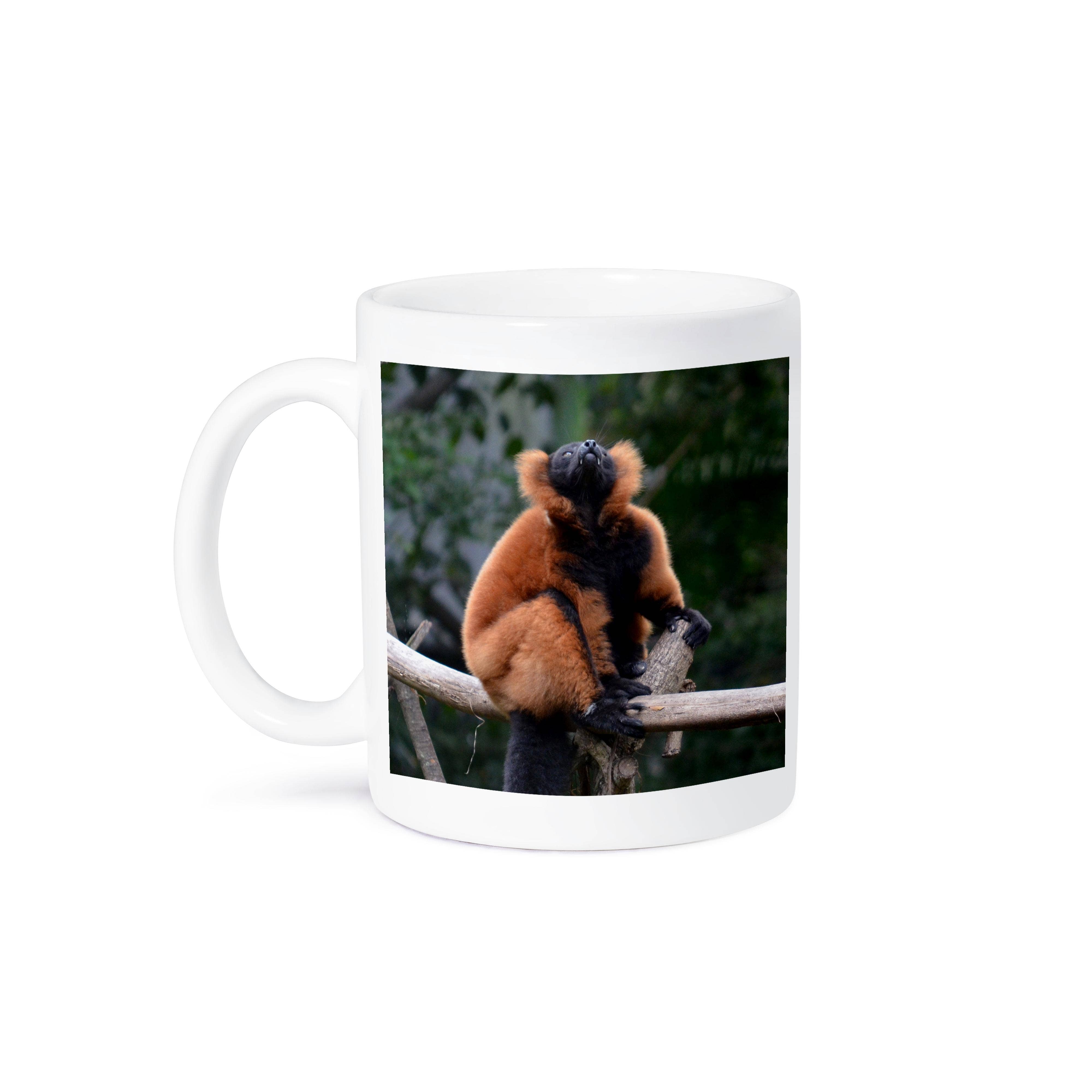 3dRose – wholesale Coffee mug – 3dRose, red ruffed lemur fangs 3drose, Mug8