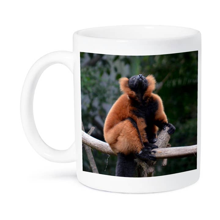 3dRose – wholesale Coffee mug – 3dRose, red ruffed lemur fangs 3drose, Mug8