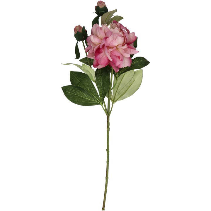 Peonie, 1 fiore, 2 boccioli, L66cm, Viola per la vendita all'ingrosso da parte di Vosteen