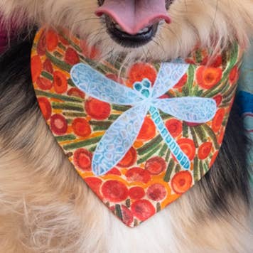 ÉCHARPE MASCOTTE DE LIBELLULE pour la vente par SECO-SECO