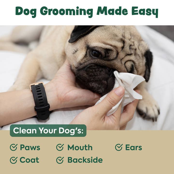 Chew + Heal - Wholesale Pet Grooming Aid - Dog - Extra Thick Herbal-Infused Dog Grooming Wipes - XL, 50 Wipes7