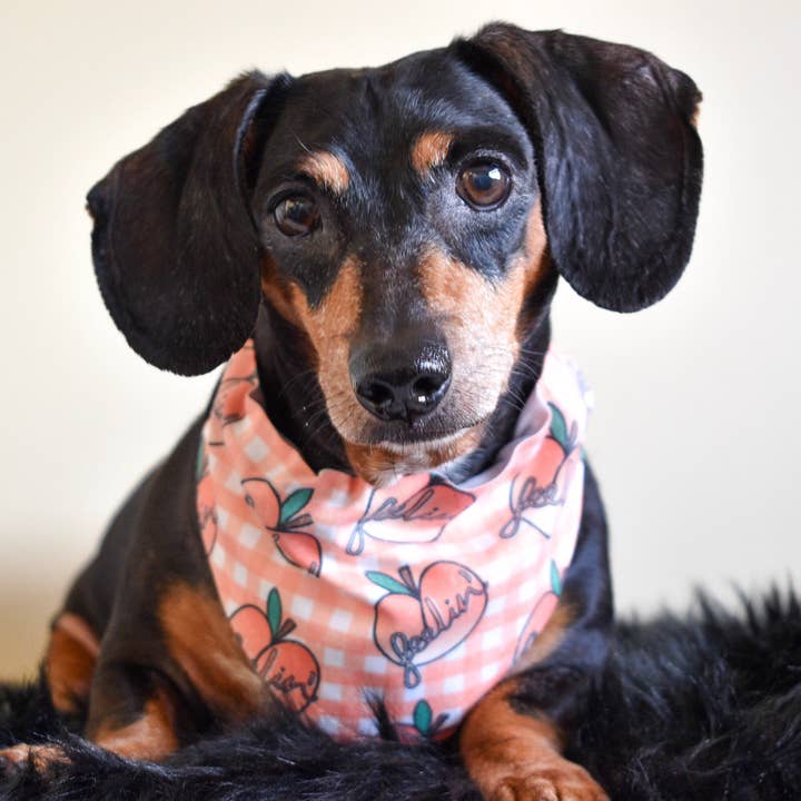 Feelin Peachy Bandana for wholesale by Dope Dog Co