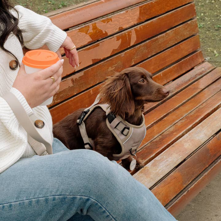 Peachy Dogs – wholesale Sele - Hund – Affogato Classic 2.0 Sele