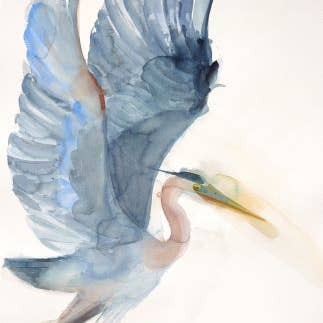 Great Blue Heron ~ "Earth and Air" ~ "Oh, to Fly" ~ Giclée Print for wholesale by Holly Wach Art LLC