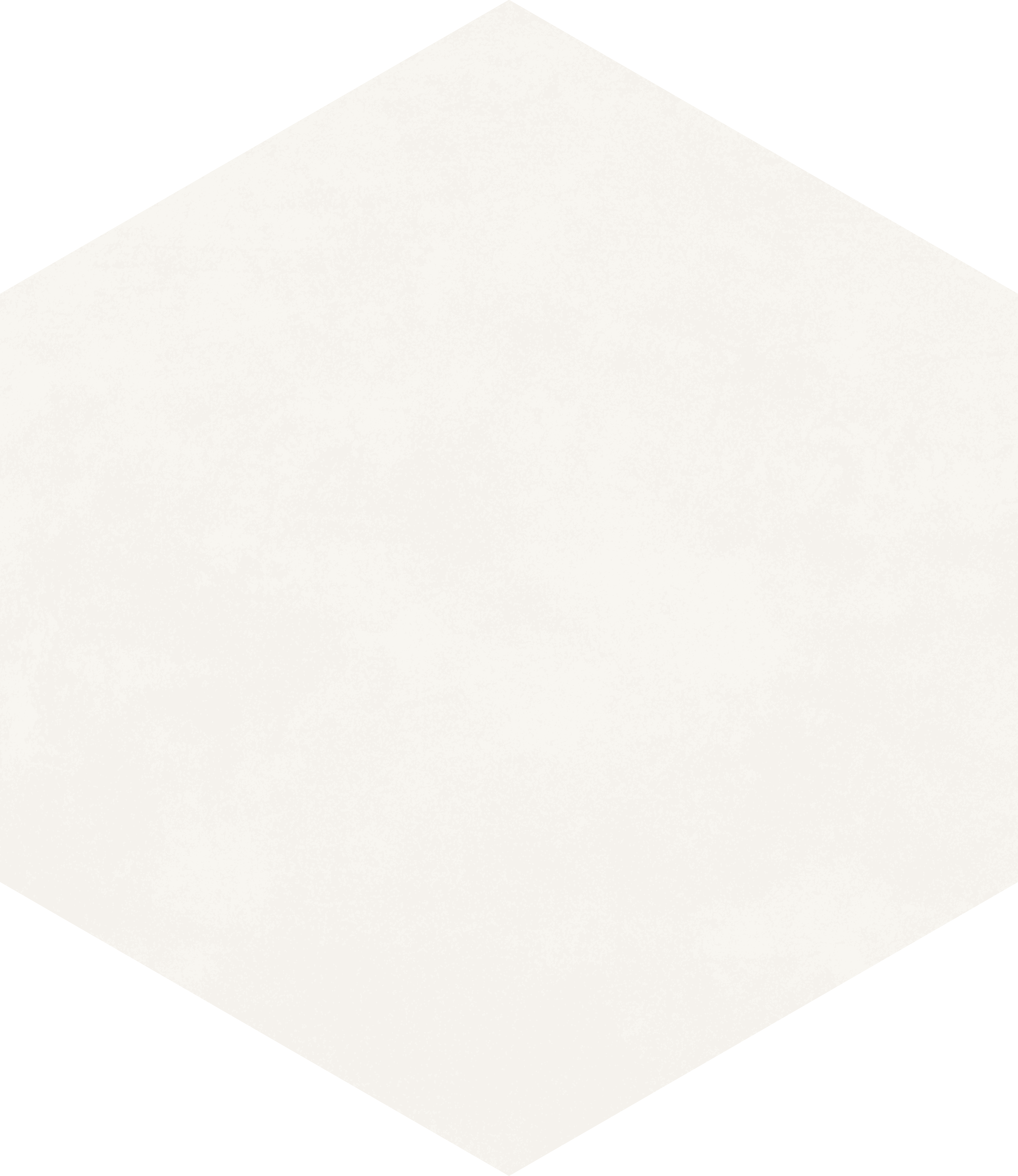 Thomas Avenue Ceramics - Wholesale Wall Tile - 9"x10" Porcelain Hexagon Floor & Wall Tile5