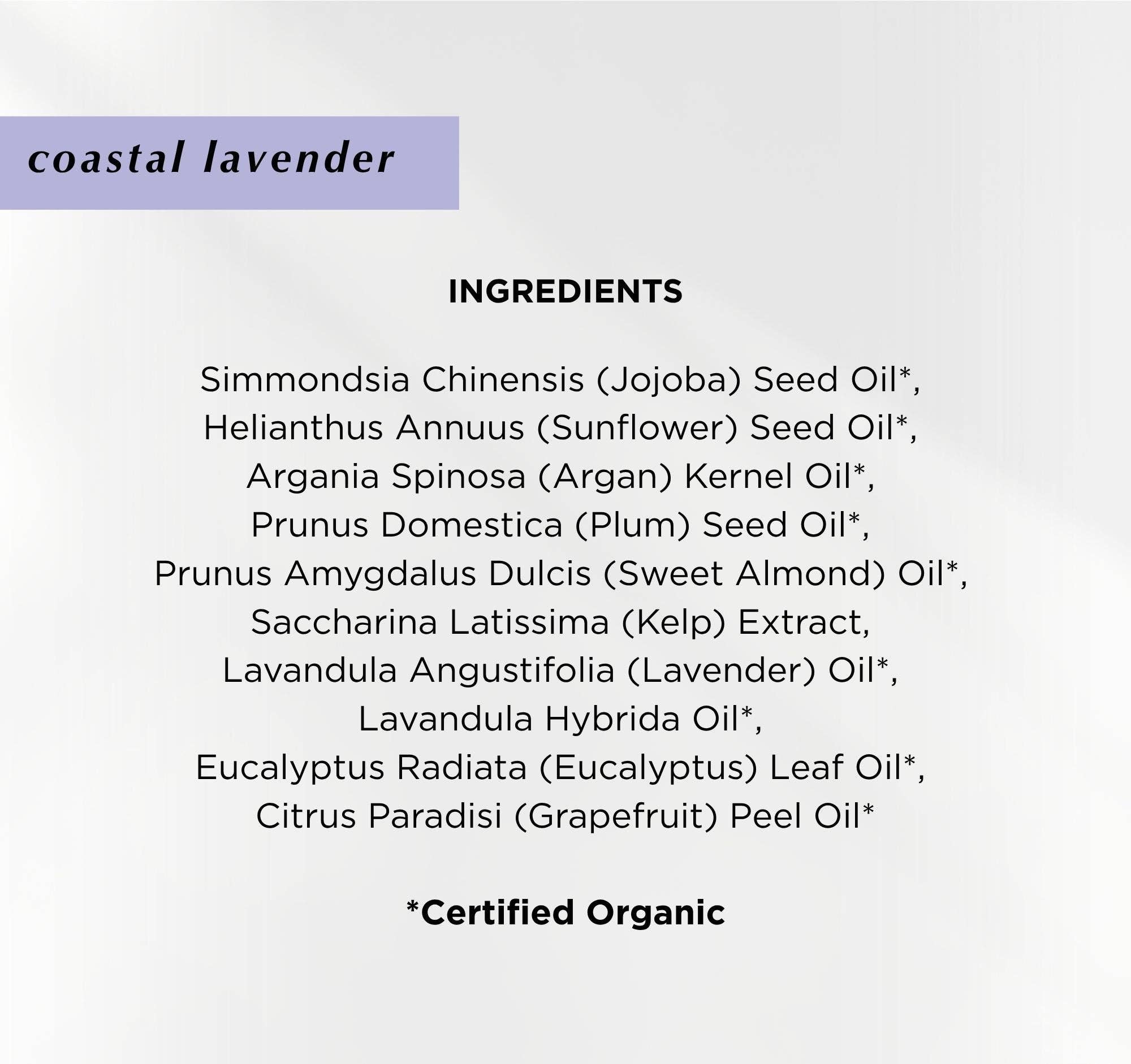 Cold Current Kelp - Wholesale Facial Oil - KelpGlow® Facial Oil Mini (Coastal Lavender) - 0.34 fl oz (10ml)3