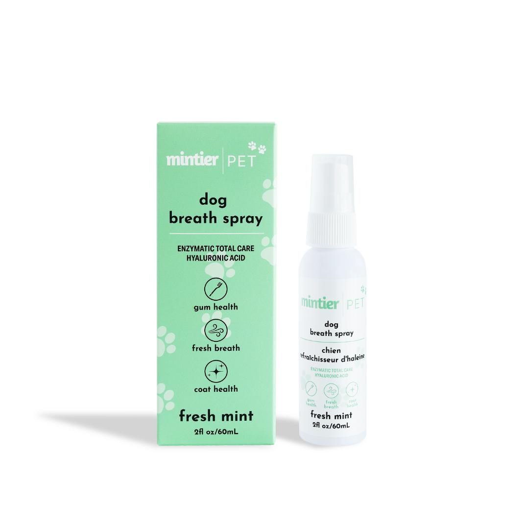 Mintier - Wholesale Pet Spray - Dog - Dog Breath Spray0