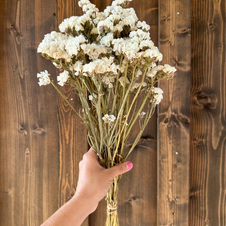 Gallup Homestead - Wholesale Dried/Pressed Flowers - Dried White Statice Bouquet 1