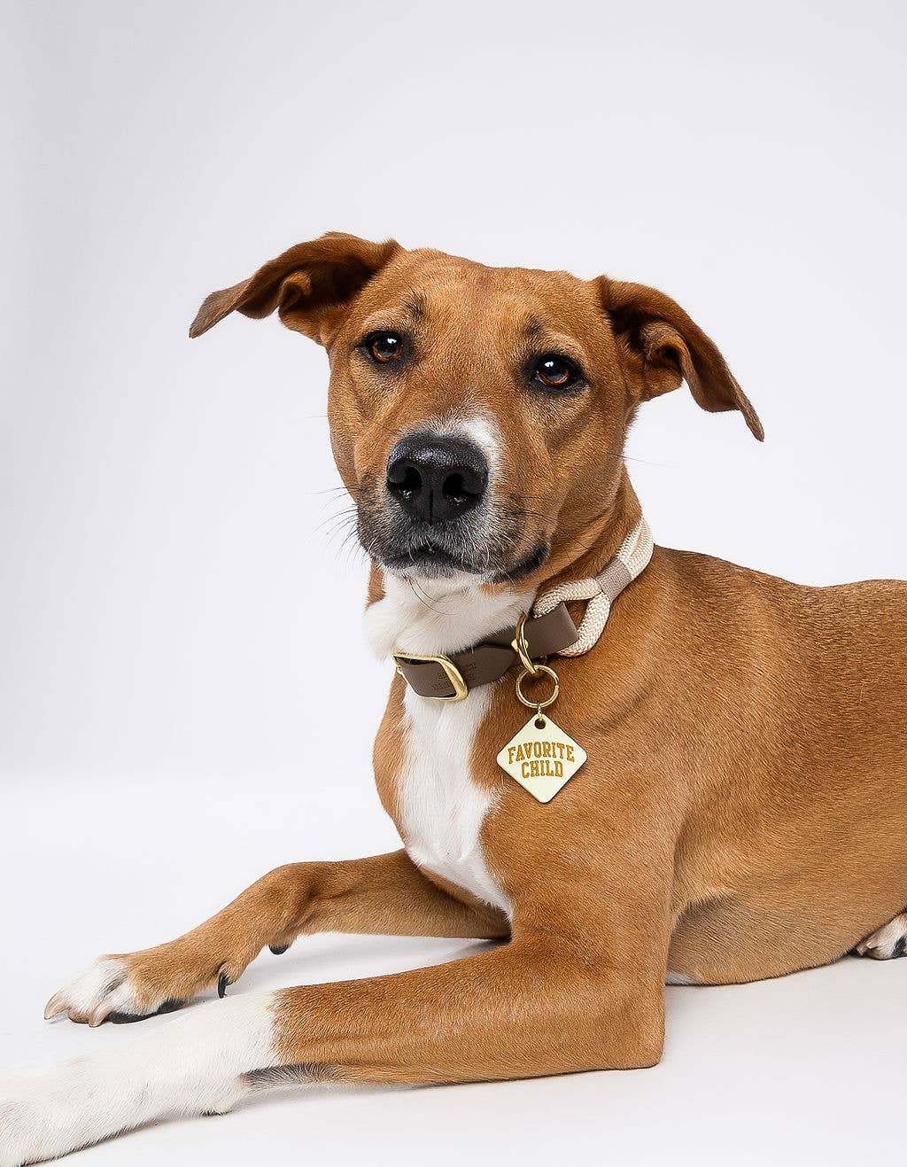 Freshwater Curated Goods - Wholesale Pet Identification Tag - Cat/Dog - Favorite Child Pet Tag2