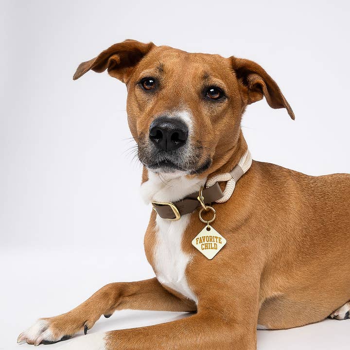 Freshwater Curated Goods - Wholesale Pet Identification Tag - Cat/Dog - Favorite Child Pet Tag2