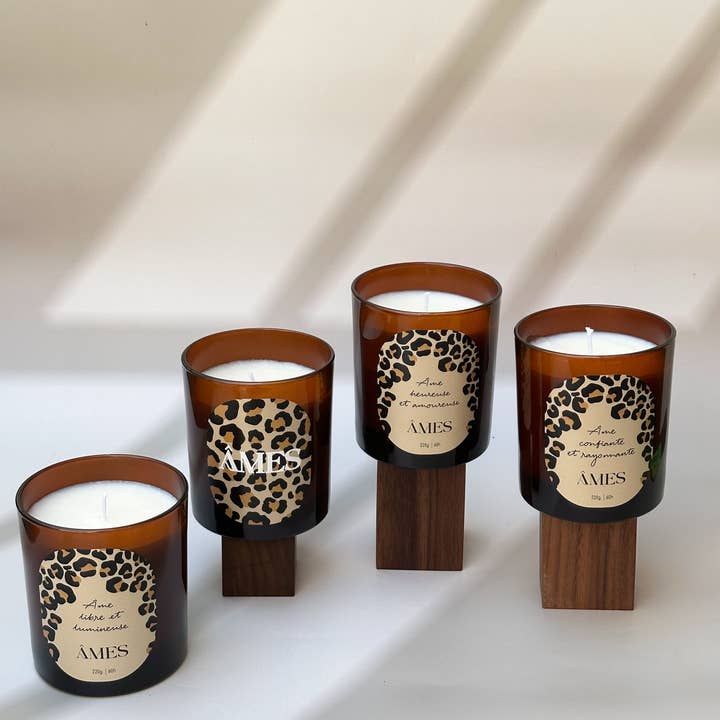 Velas perfumadas leopardo y otras tendencias de Resultados para proveedora abarrotes rivera sa cv al por mayor. Devoluciones gratuitas y condiciones de pago a 60 días en Faire en Faire.